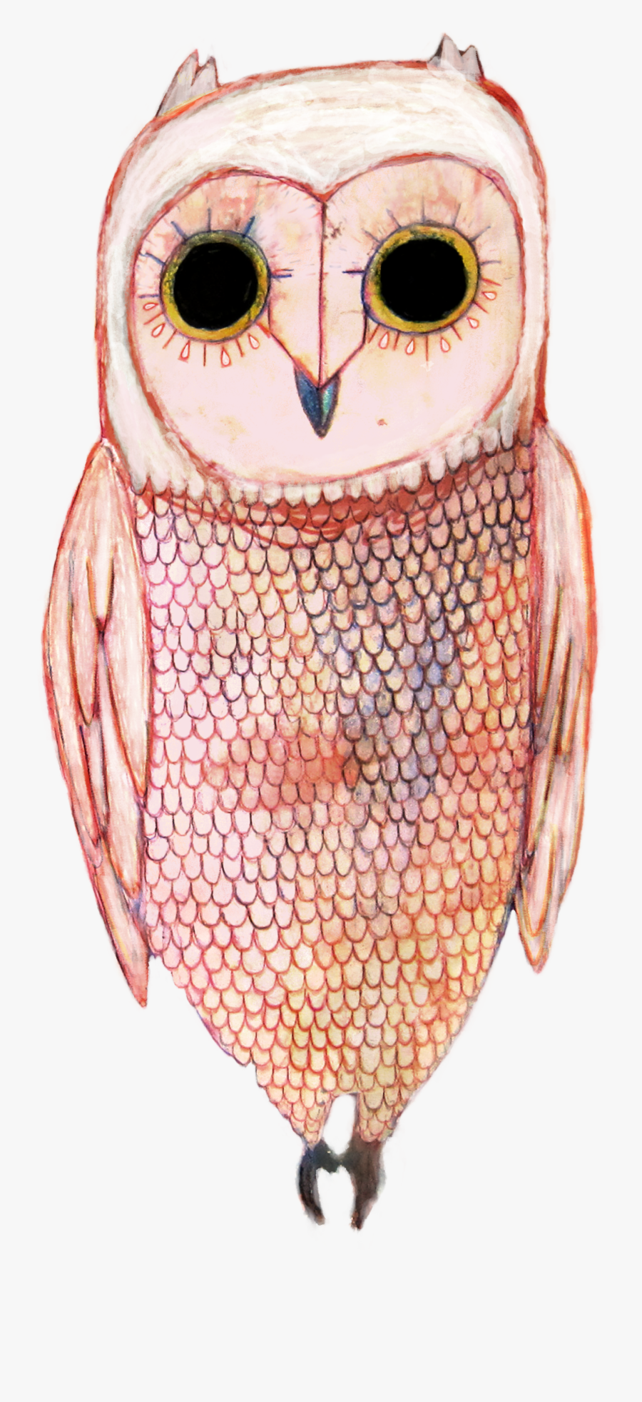 White Owl Png - Screech Owl, Transparent Clipart