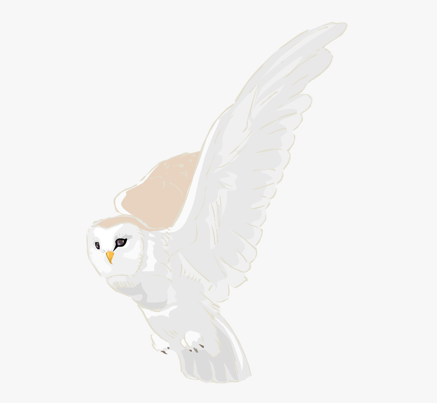 Snowy Owl Clipart Owl Wing - Owl, Transparent Clipart