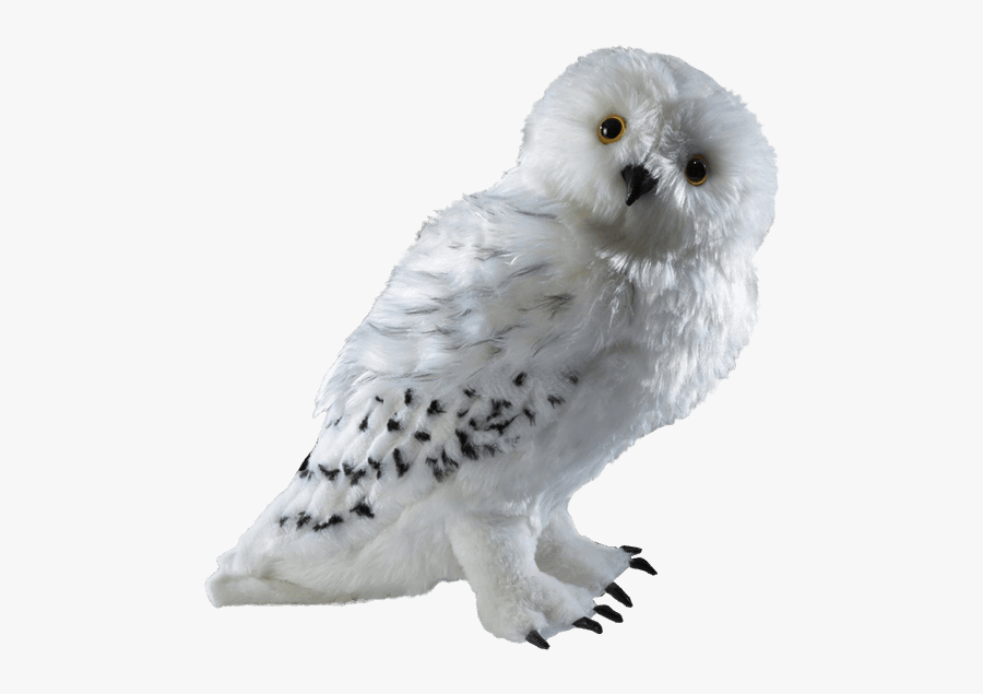 Harry Potter Png Owl - Harry Potter White Owl Png, Transparent Clipart