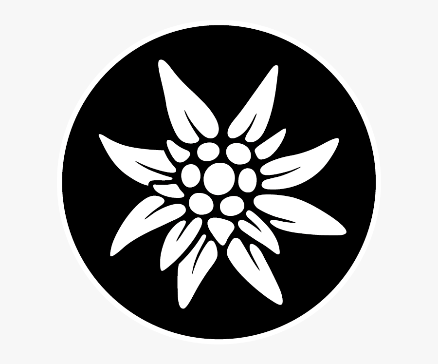 Edelweiss Png, Transparent Clipart