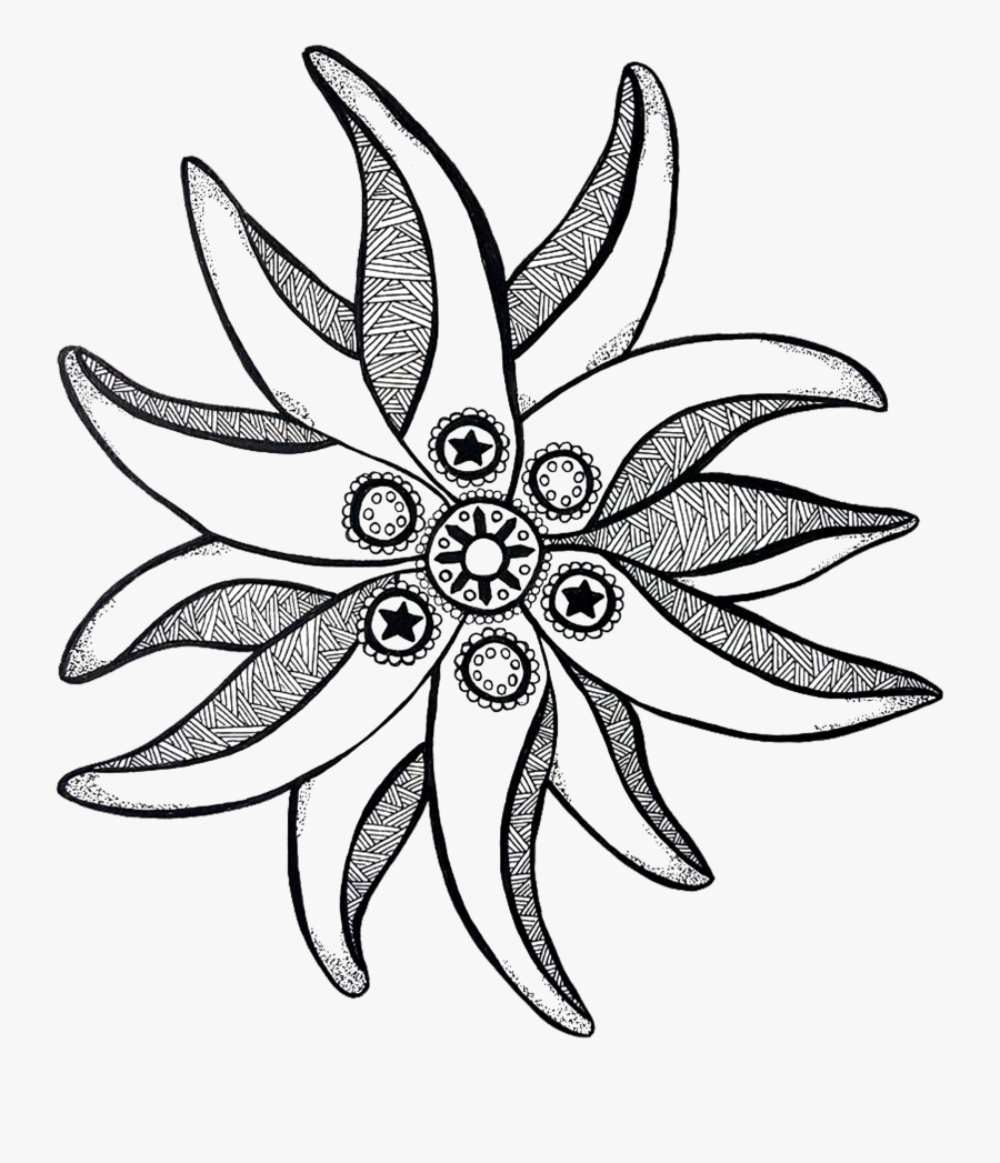 Edelweiss Drawing - Edelweiss Drawinf, Transparent Clipart