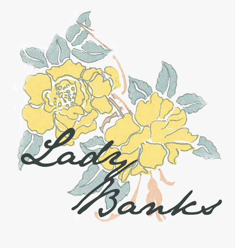 Garden Roses Clipart , Png Download - Garden Roses, Transparent Clipart