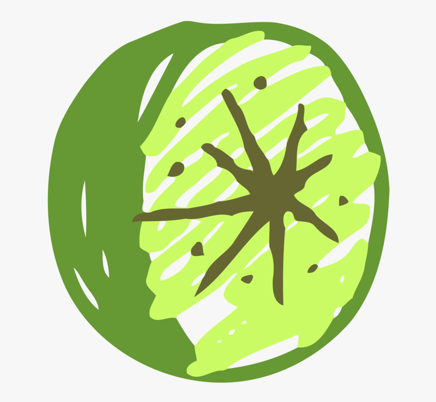 Plant,grass,leaf, Transparent Clipart
