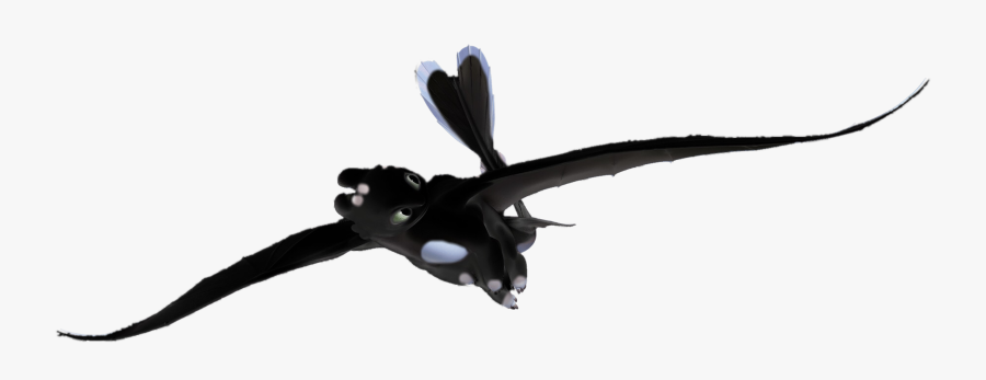 Toothless And The Light Fury’s Offspring Allison, Transparent Clipart