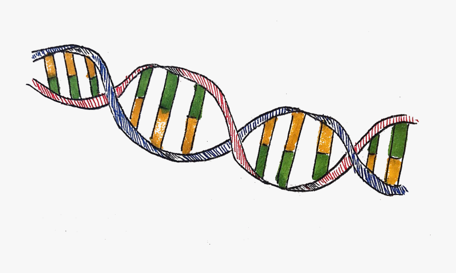 Immunology Clip Art, Transparent Clipart