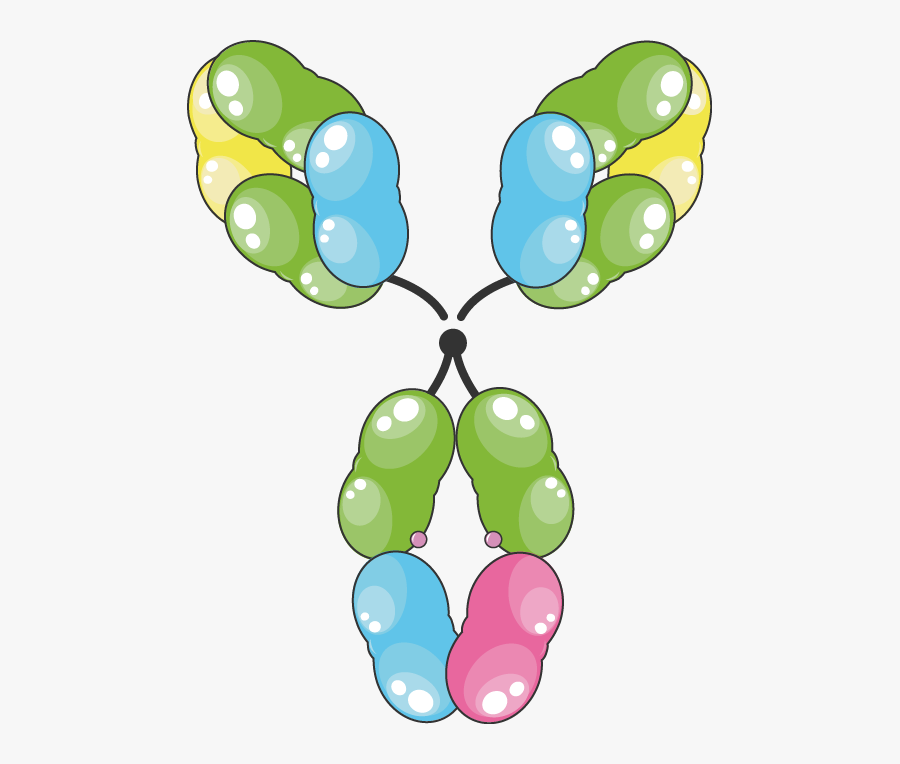 Igd, Transparent Clipart
