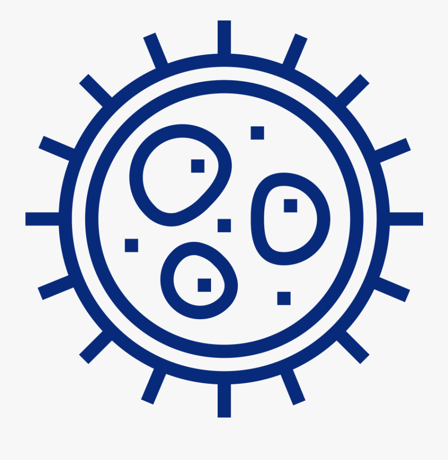 Picture, Transparent Clipart