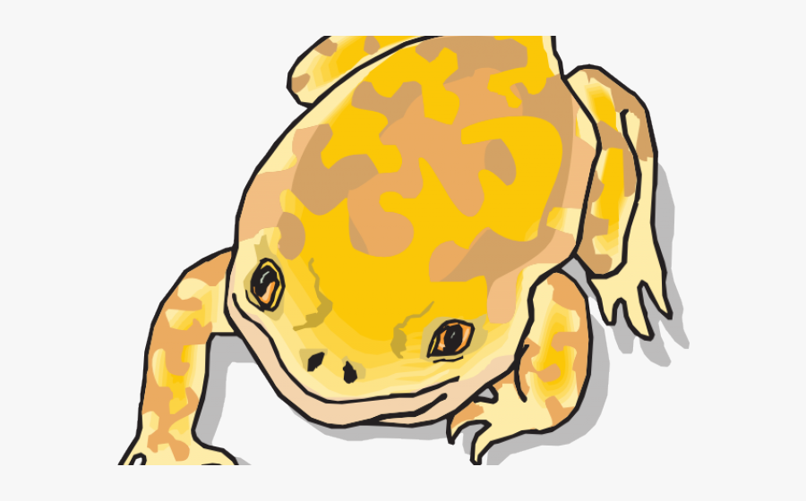 Brown Clipart Toad, Transparent Clipart