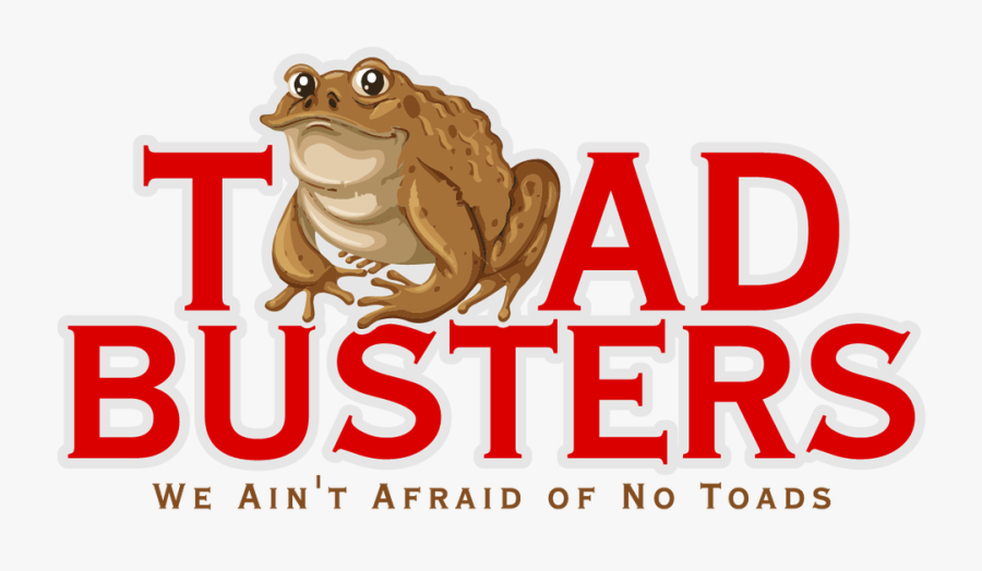 Brown Toad Clipart, Transparent Clipart