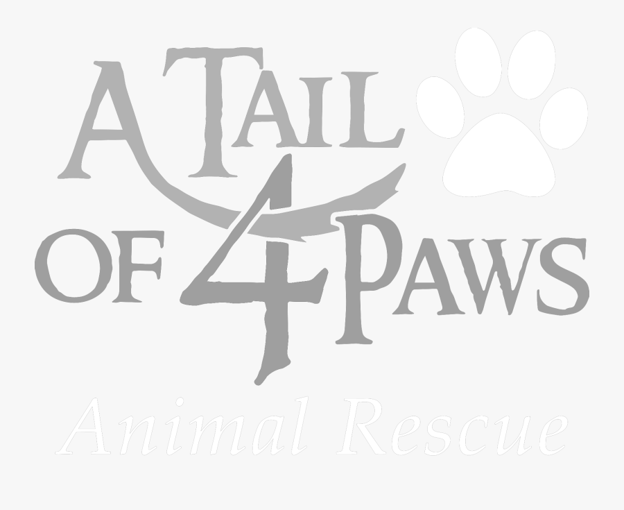 A Tail Of 4 Paws, Transparent Clipart