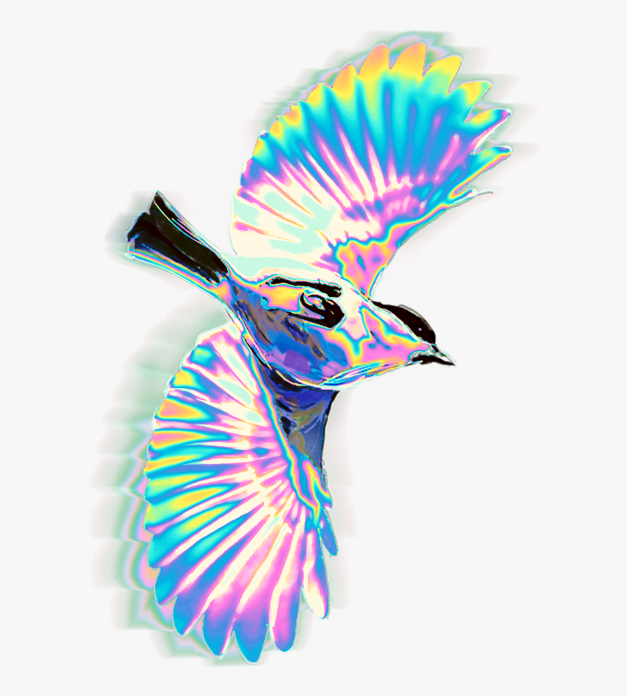 Rainbow Bird Cilc Art, Transparent Clipart