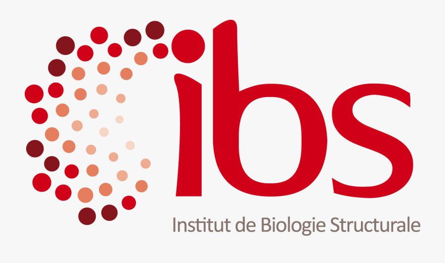 Cryo - - Ibs Grenoble Logo, Transparent Clipart