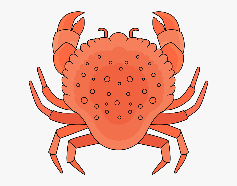 Freshwater Crab, Transparent Clipart