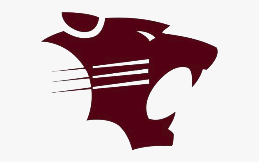 Hawley Bearcats, Transparent Clipart