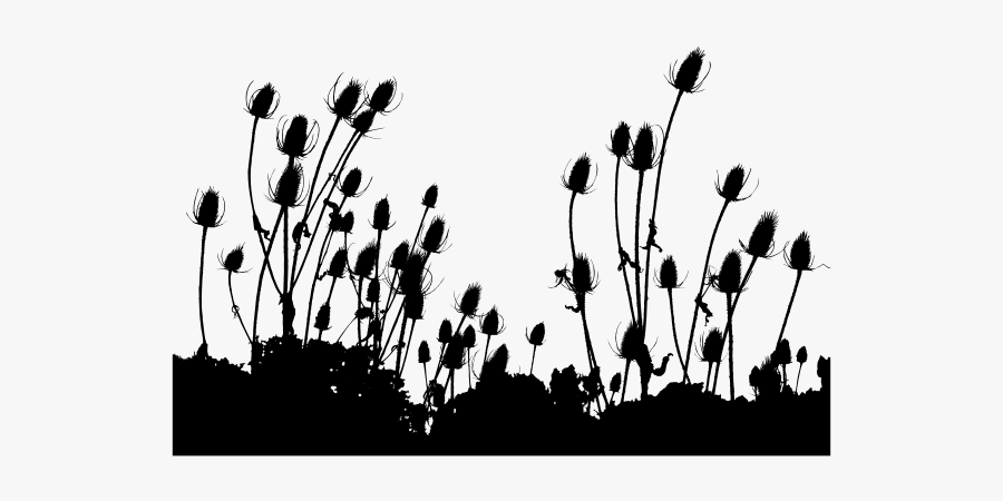 Outline Of Wild Grass - Plants, Transparent Clipart