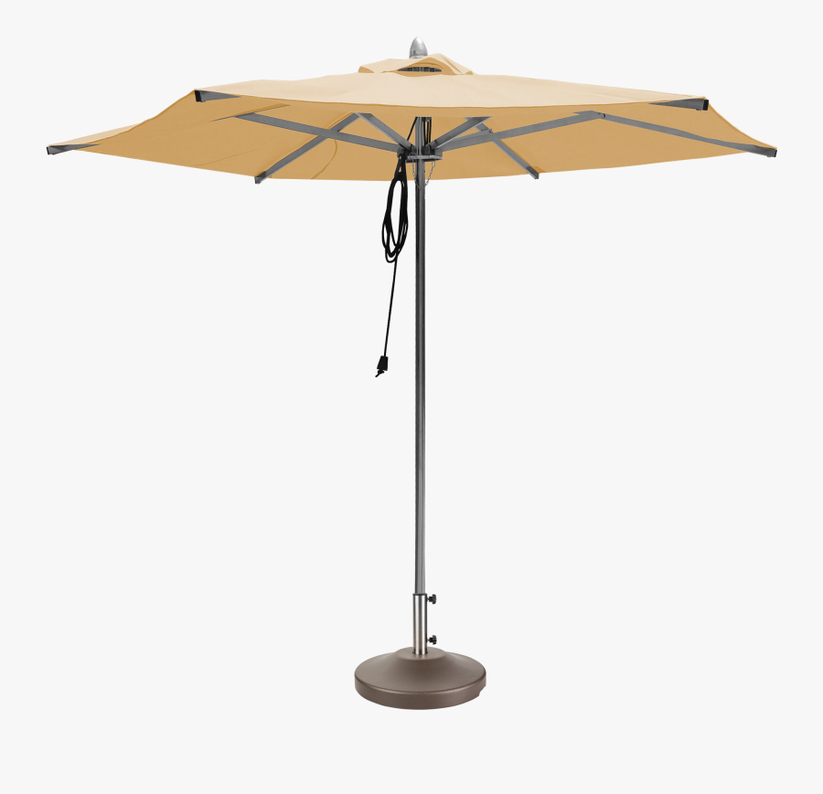 Umbrella, Transparent Clipart