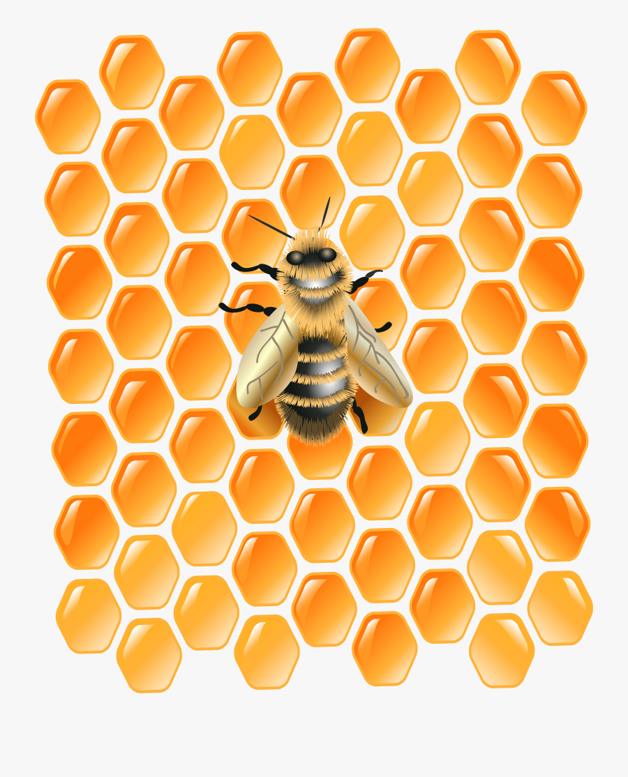 Honeycomb Bee Png - Transparent Background Bee Honey Png, Transparent Clipart