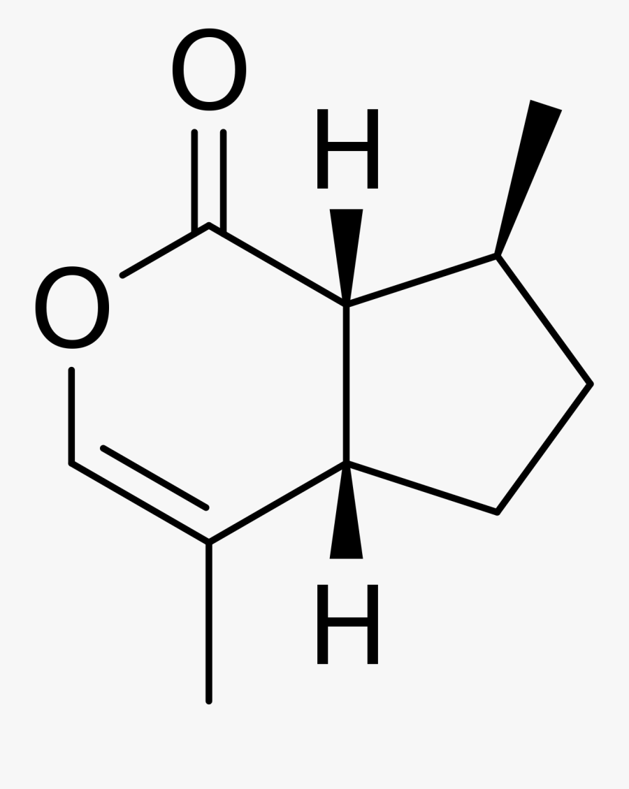 Nepetalactone Chemical Structure, Transparent Clipart