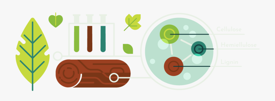 Circle, Transparent Clipart