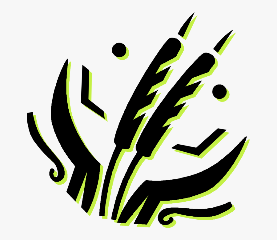 Vector Illustration Of Cattail Bulrushes Bulrush In, Transparent Clipart