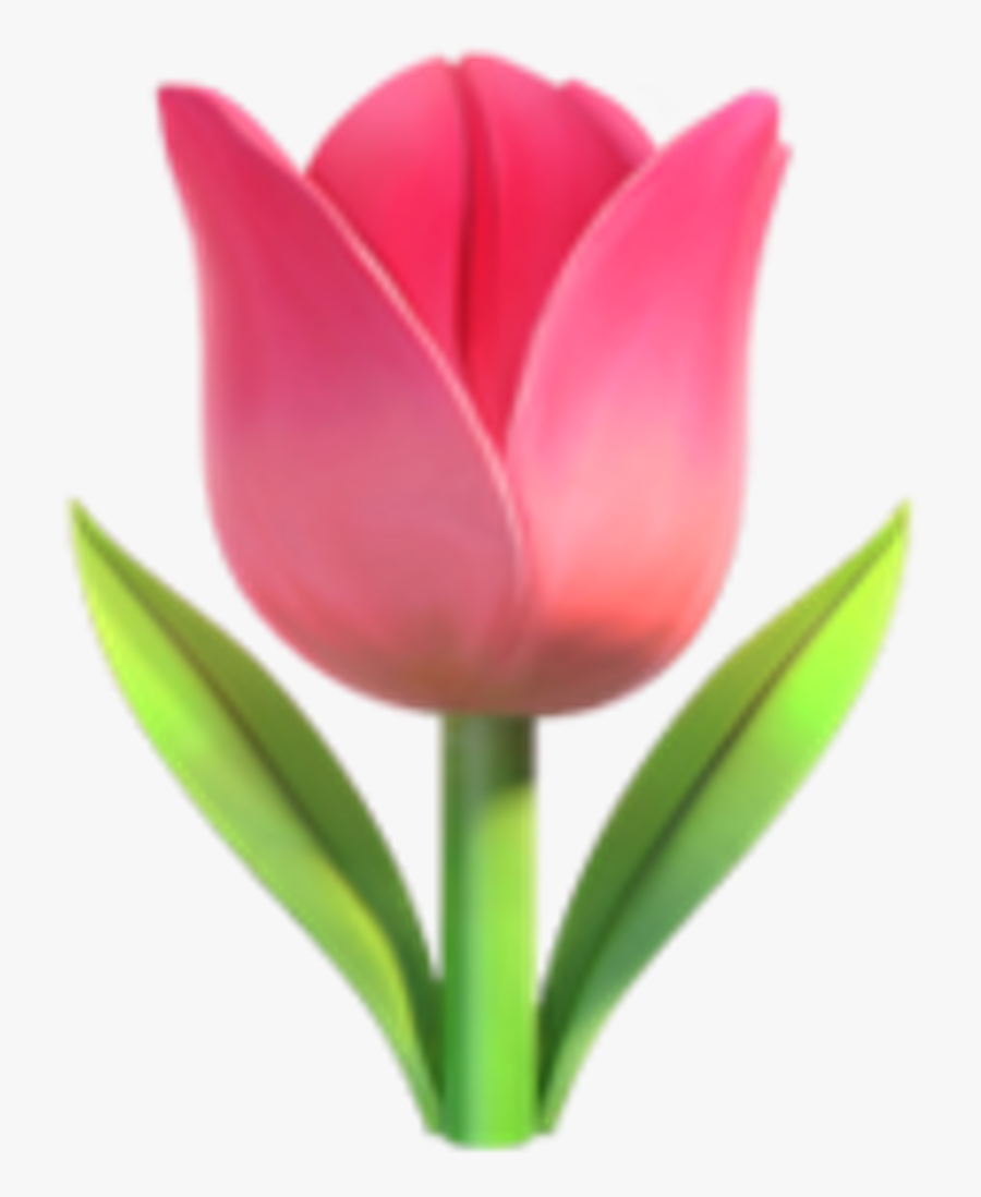 Whatsapp Emoji Tulpe Clipart , Png Download - Tulip Emoji, Transparent Clipart