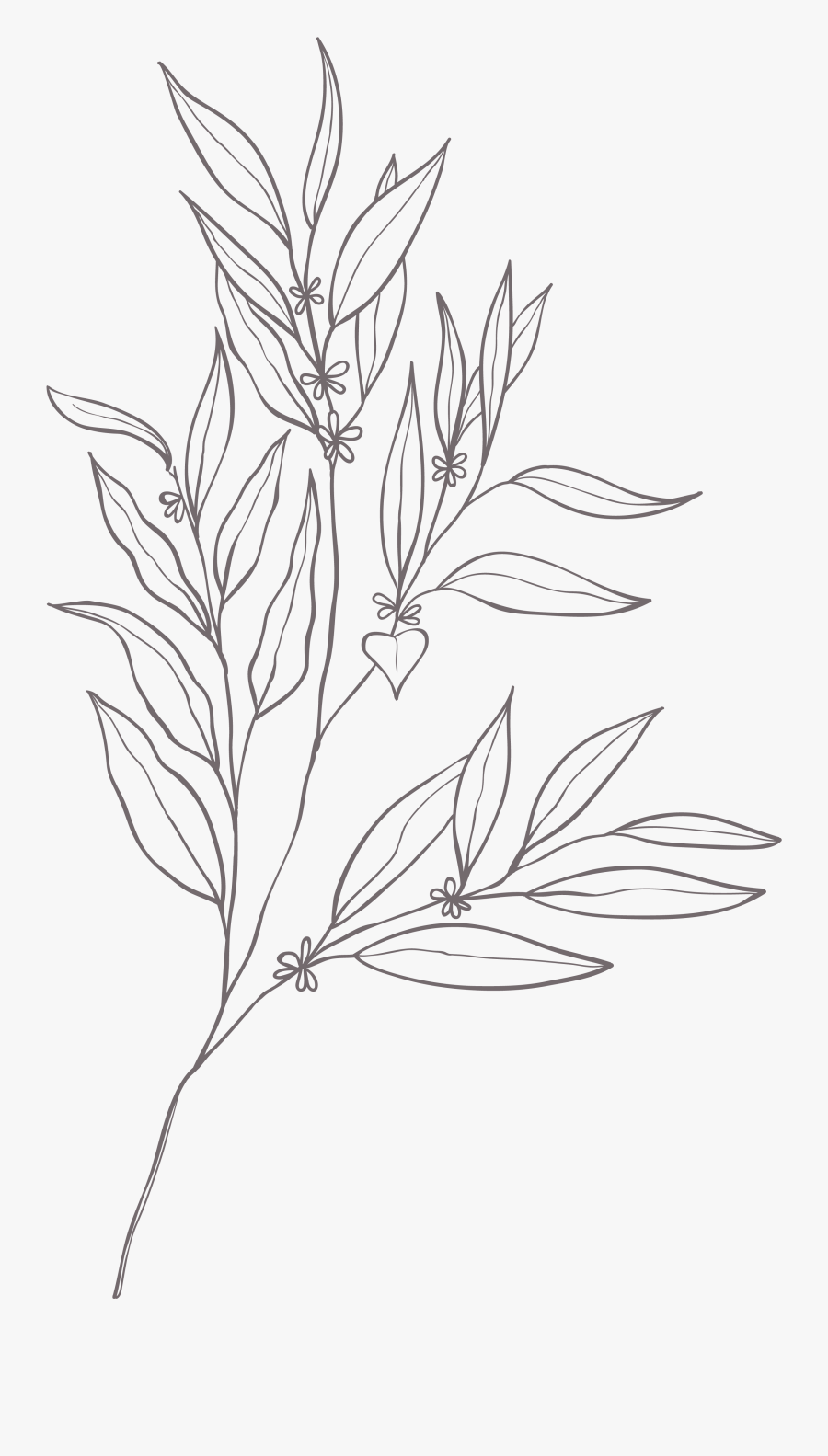 Sketch, Transparent Clipart