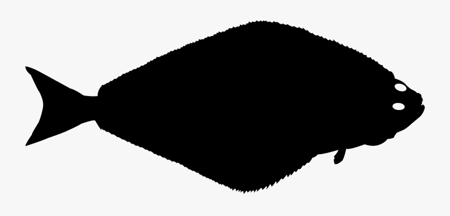 Atlantic Halibut, Transparent Clipart