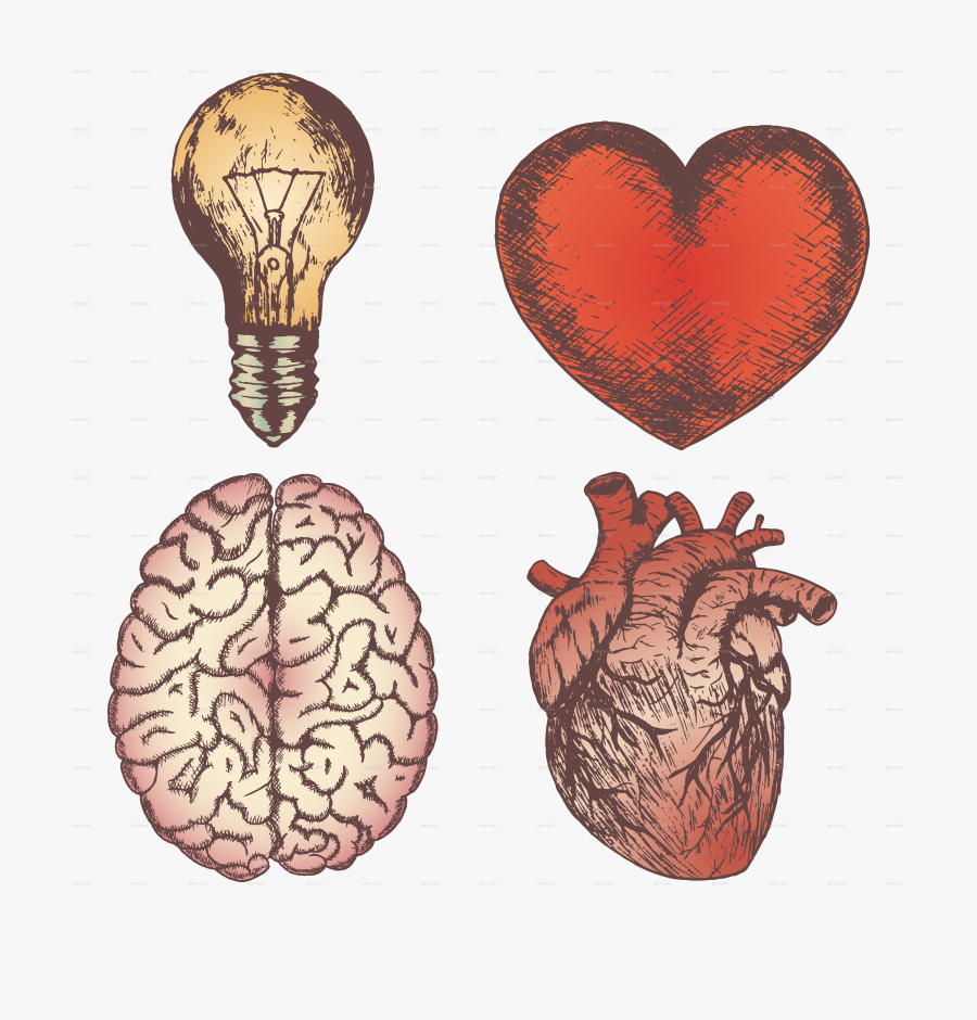Drawing Creativity Heart - Brain And Heart Drawings, Transparent Clipart