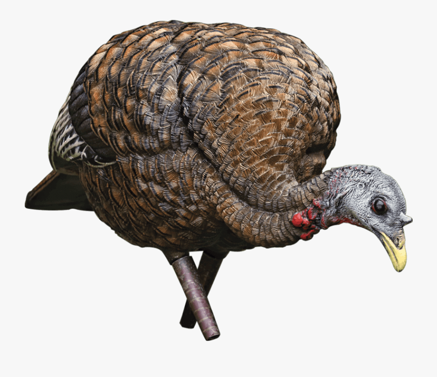 Avian X Turkey Decoys, Transparent Clipart