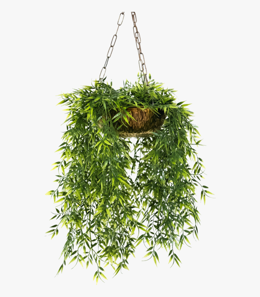 Flower Pots Png - Transparent Hanging Plants Png, Transparent Clipart