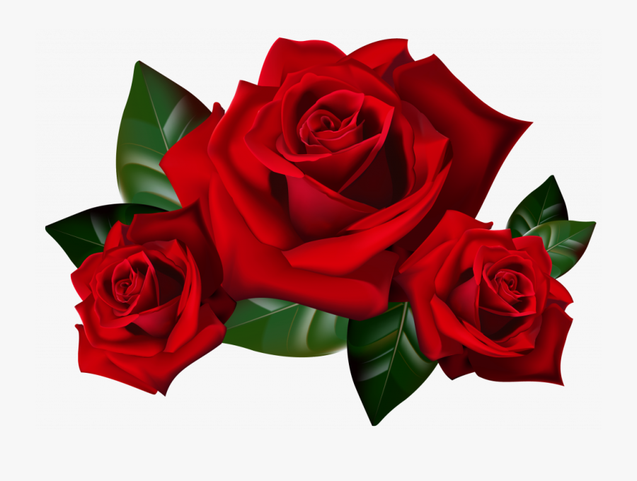 Rose Cliparts Png Transparent Background - Red Roses Clipart, Transparent Clipart
