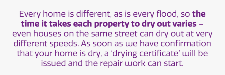 Lilac, Transparent Clipart