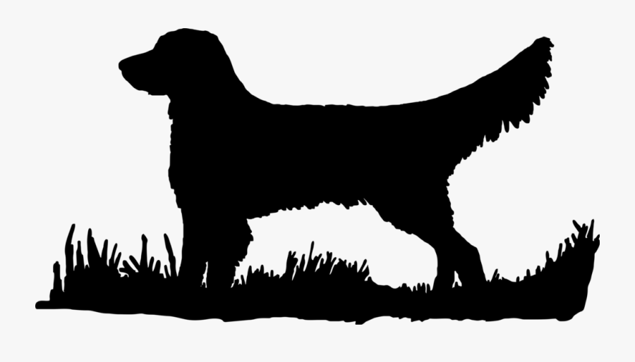 Golden Retriever Silhouette Transparent, Transparent Clipart