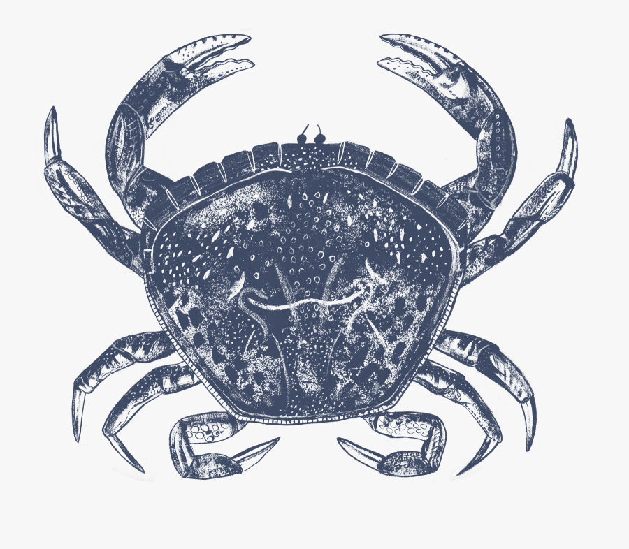 Transparent Crab Live - Chesapeake Blue Crab, Transparent Clipart