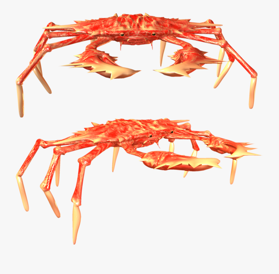 Crab Png - Crabs, Transparent Clipart