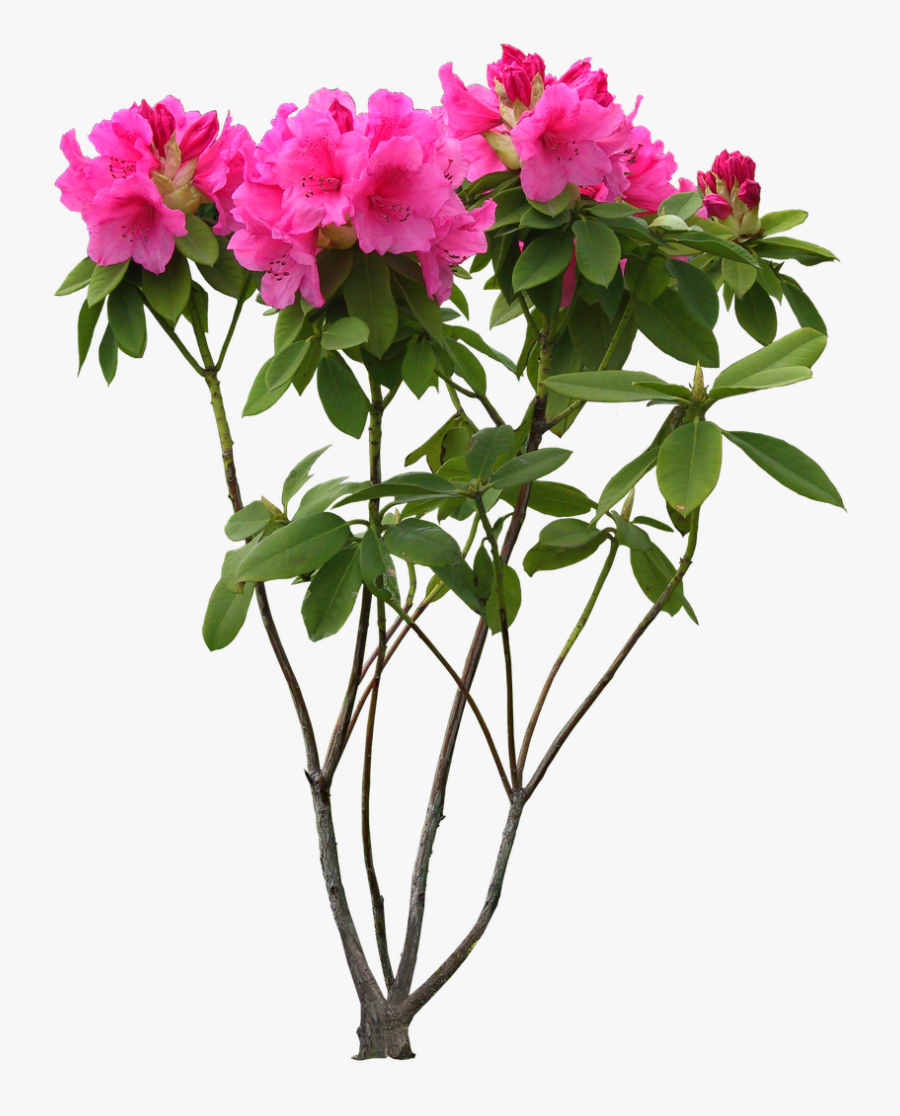 Clip Art Sensational Design Cl - Free High Resolution Graphics Png, Transparent Clipart