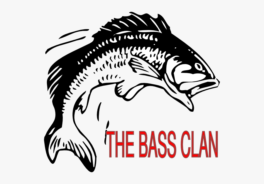 Salmon Fish Vector Png, Transparent Clipart