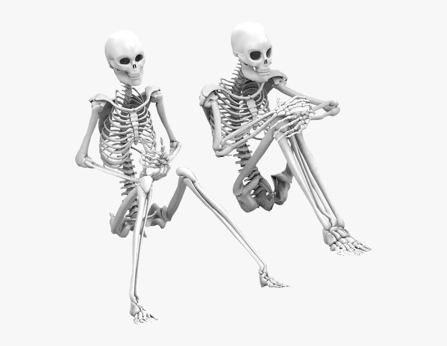 Skeleton Sitting Transparent , Transparent Cartoons - Skeletons Png, Transparent Clipart