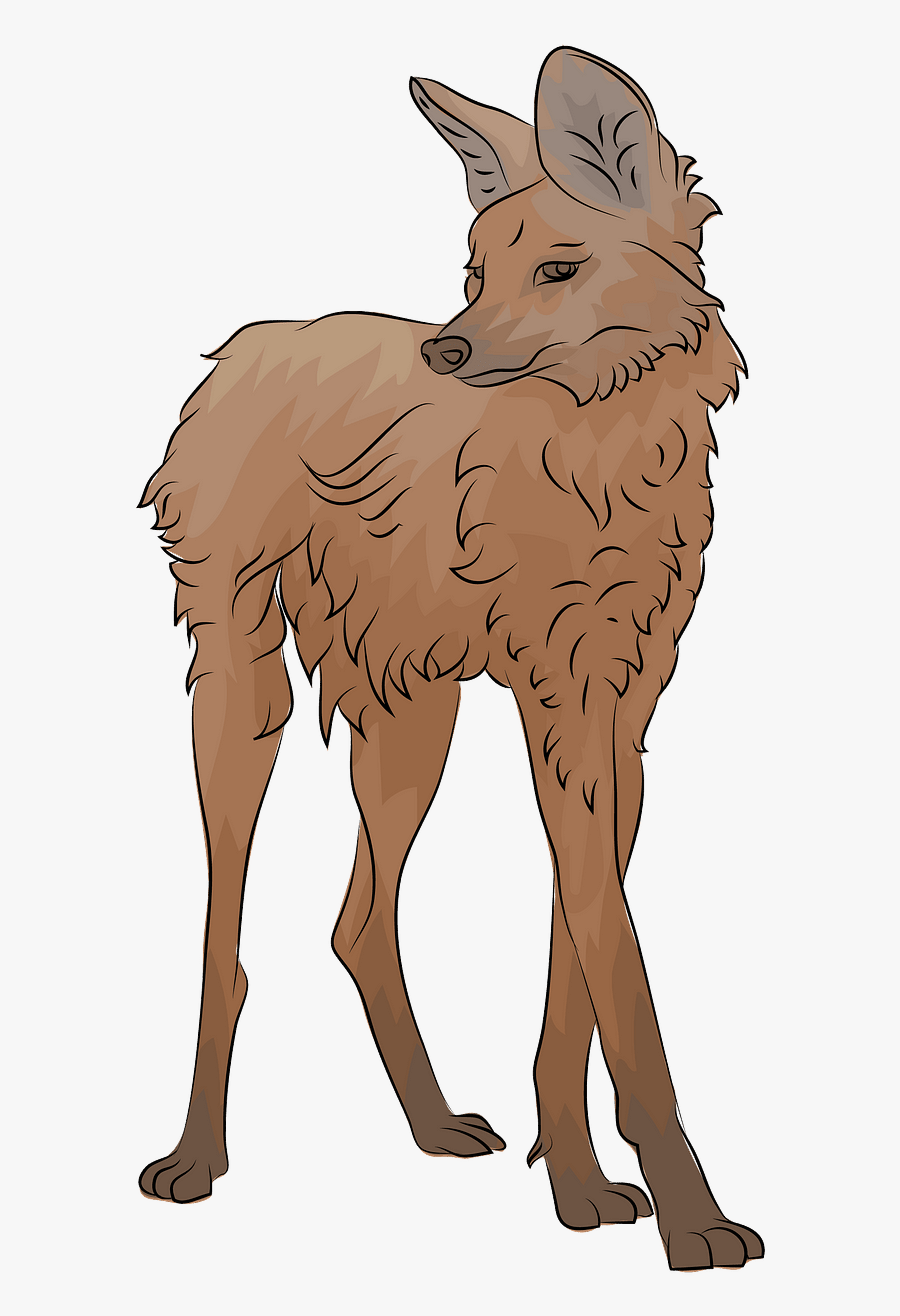 Llama, Transparent Clipart