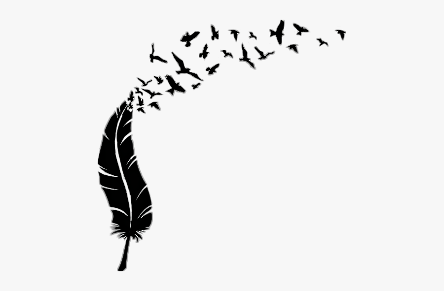 #freetoedit #feather #birds #blackleather #blackbirds - Pioro Z Ptakami Na Sciane Male, Transparent Clipart