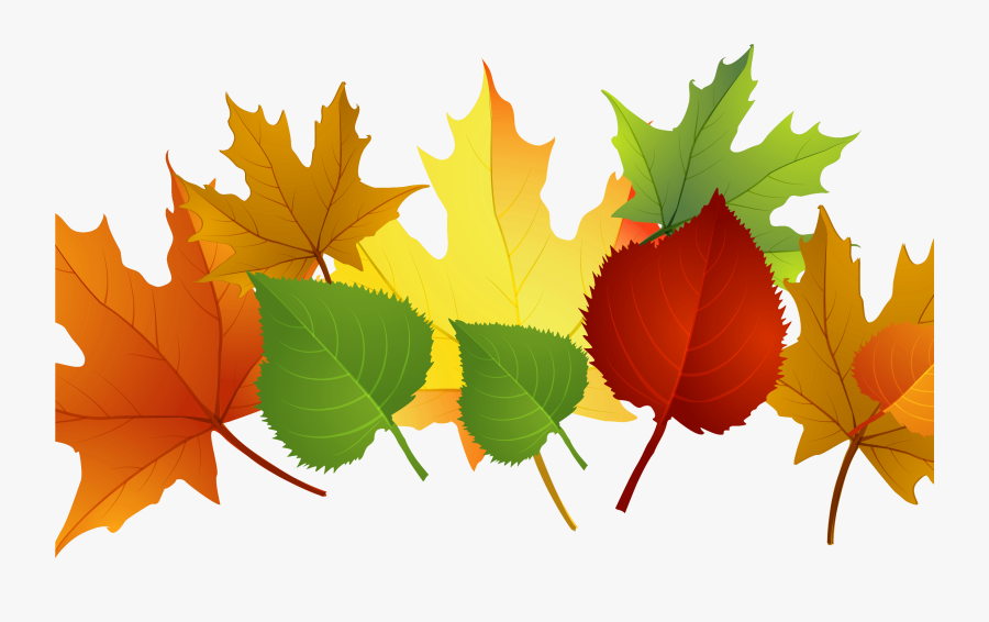 Falling Clipart Autumn Leaf - Fall Leaves Clipart Transparent, Transparent Clipart