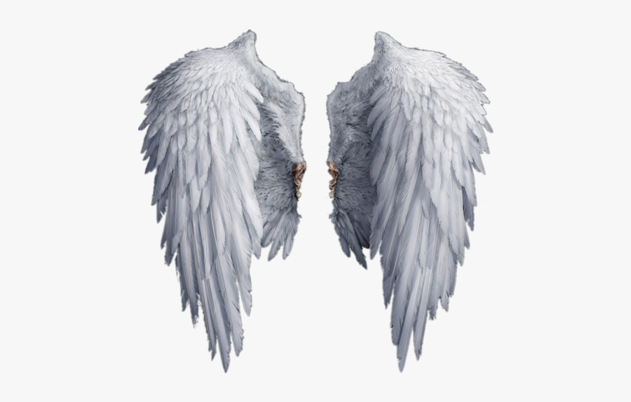 Stock Photography Drawing Clip Art - Transparent Angel Wings Png, Transparent Clipart