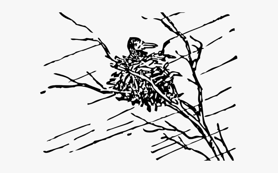 Hurricane Clipart Cute - Storm Clipart Black And White, Transparent Clipart