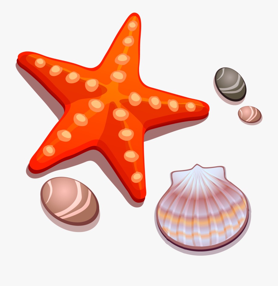 Drawing Shell Starfish - Tv5 Happy Ka Dito, Transparent Clipart