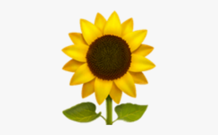 #freetoedit #edit #emoji #apple #ios #iphone #sunflower - Sunflower Emoji Png, Transparent Clipart