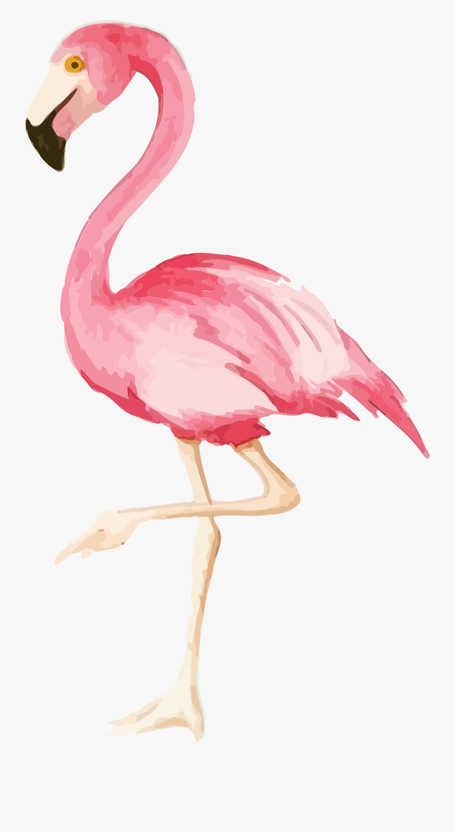 Watercolor Flamingo Print Flamingo Party Png - Cute Flamingos, Transparent Clipart