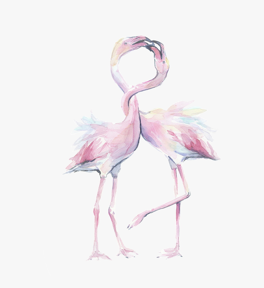 Love Birds - Flamingo Watercolor Art, Transparent Clipart