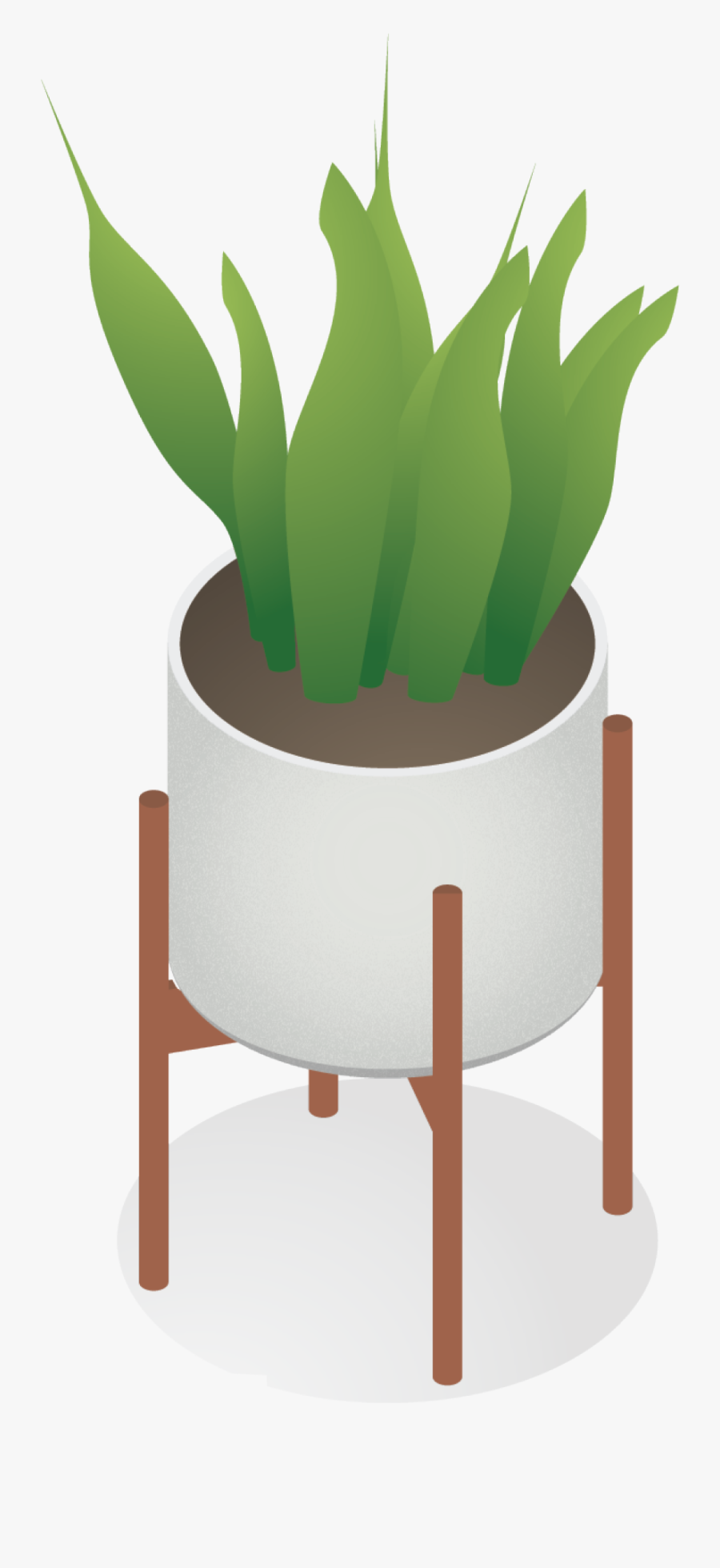 Vector Interior Plants Illustration, Transparent Clipart