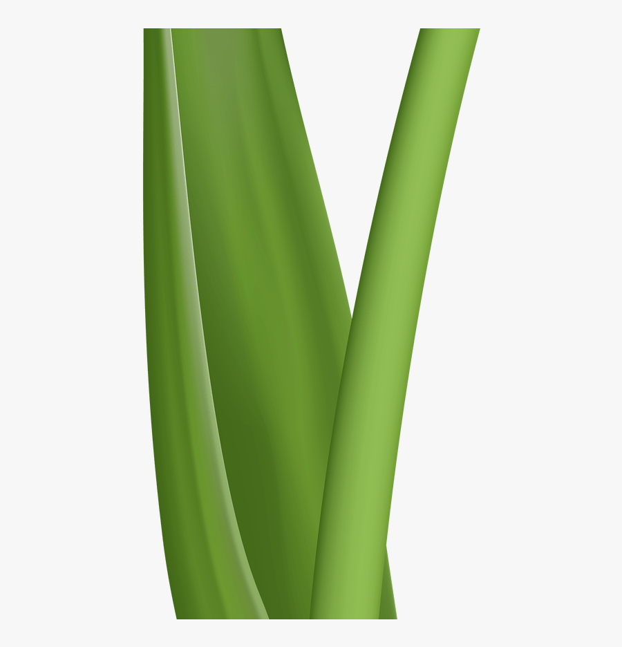 Tulips Clip Art No Backgrounds Clipart Vector Design - Agave, Transparent Clipart