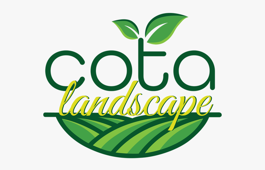 Picture, Transparent Clipart